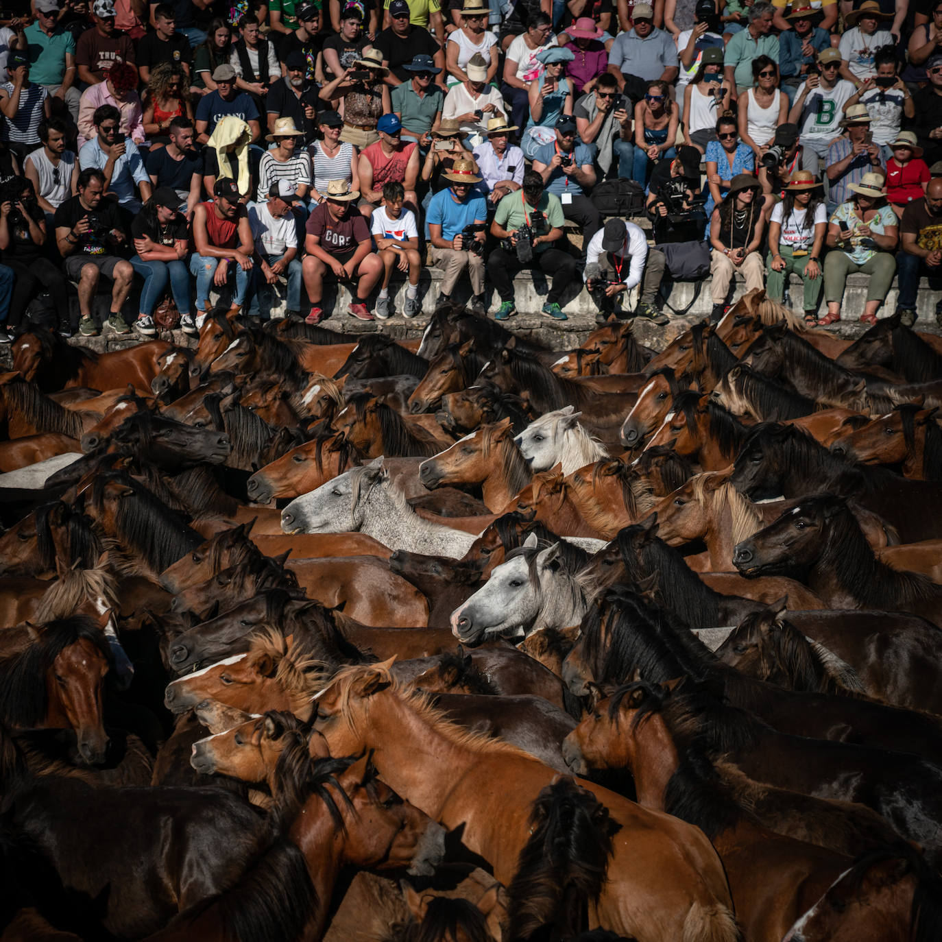 Fotos: Genuino sabor gallego