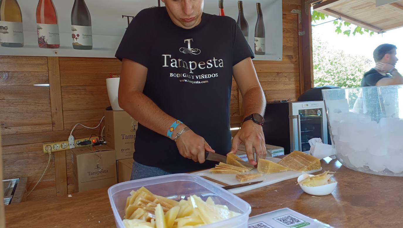 Fotos: El vino riega Valencia de Don Juan