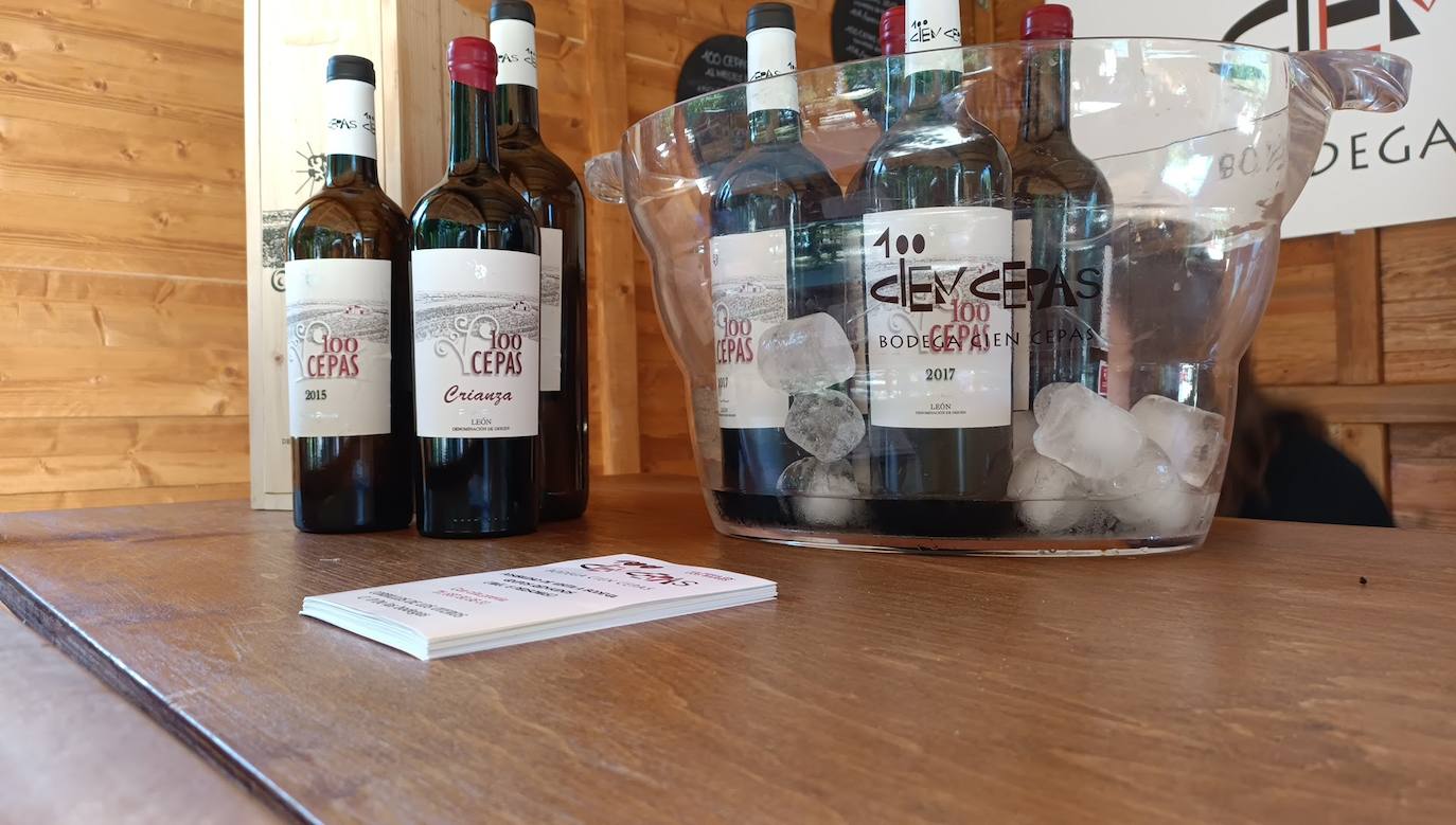 Fotos: El vino riega Valencia de Don Juan