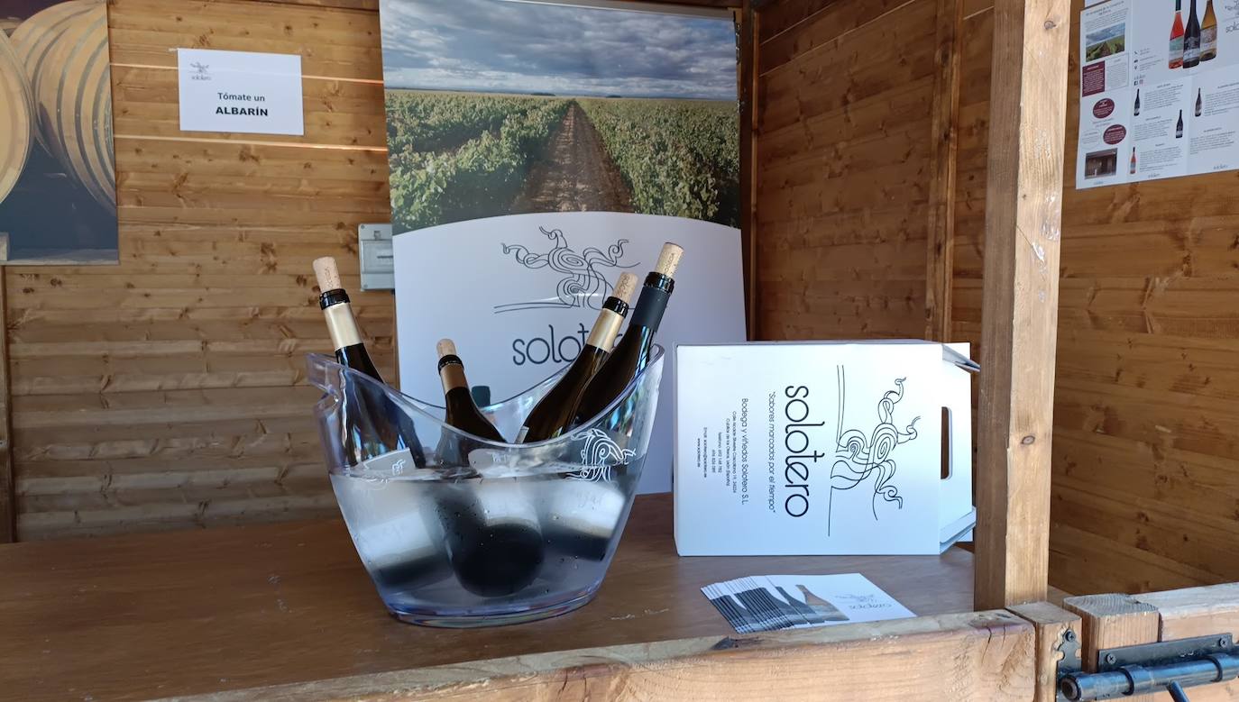 Fotos: El vino riega Valencia de Don Juan