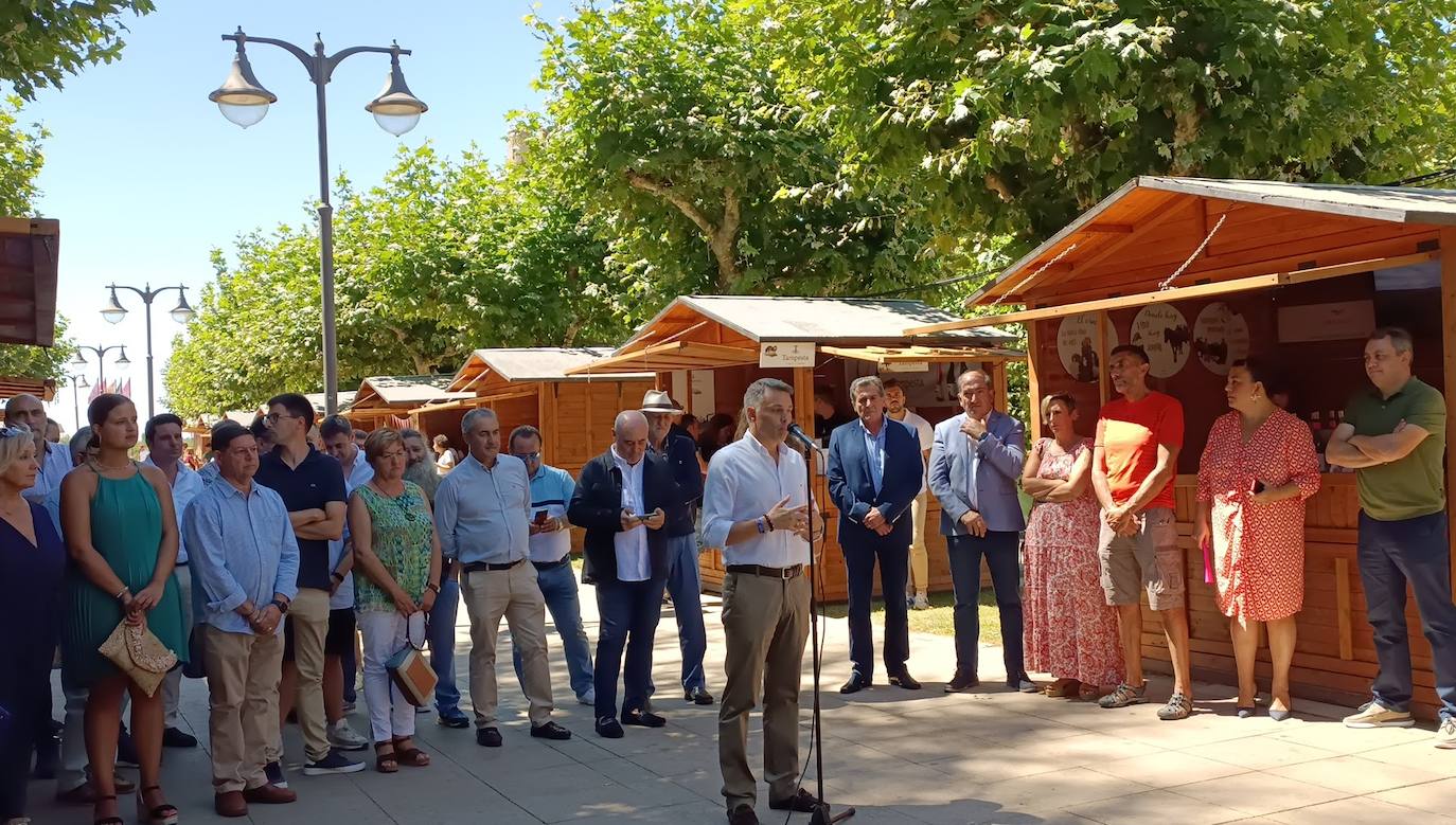 Fotos: El vino riega Valencia de Don Juan