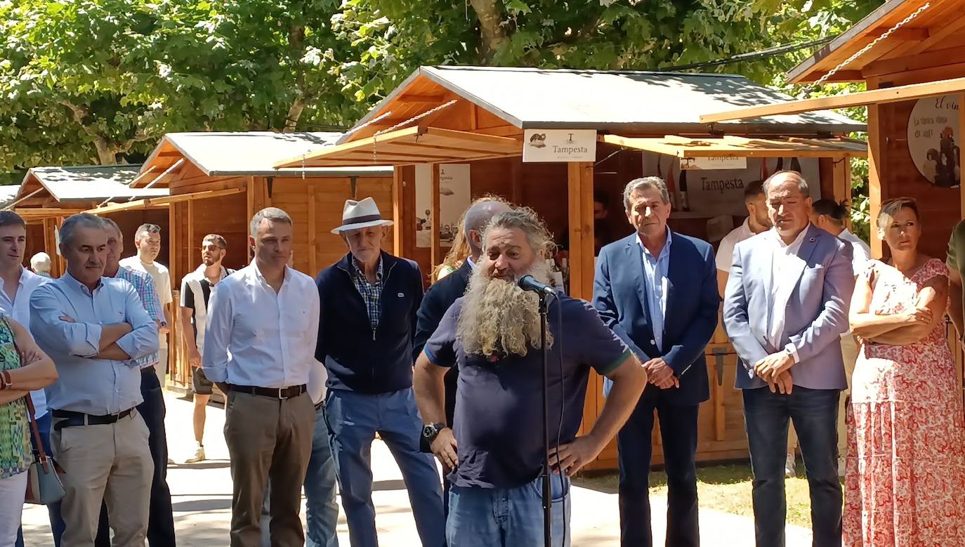 Fotos: El vino riega Valencia de Don Juan