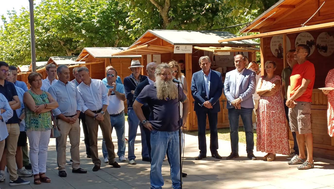 Fotos: El vino riega Valencia de Don Juan