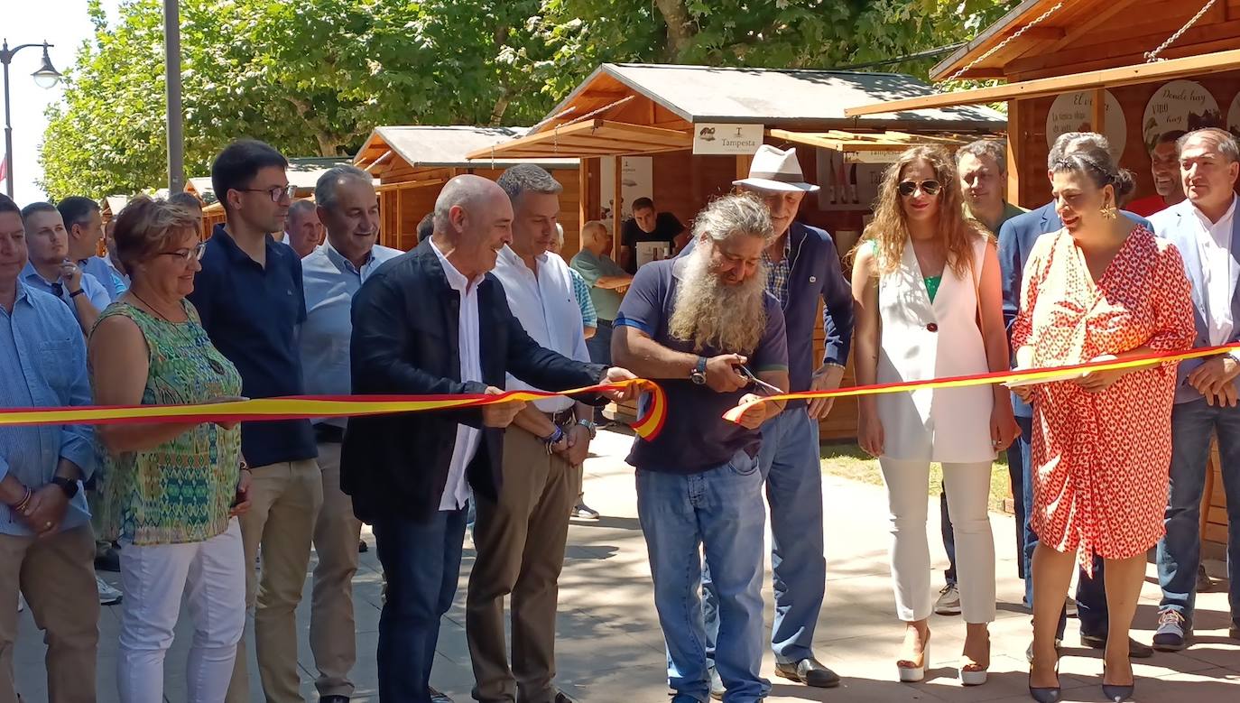 Fotos: El vino riega Valencia de Don Juan