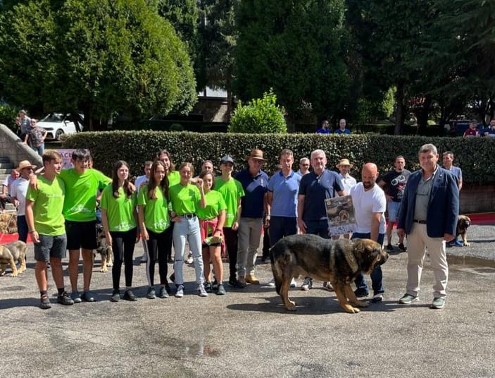 El X Concurso Monográfico de Mastín Español se celebra en Villablino con la flor y nata de esta raza de pastoreo