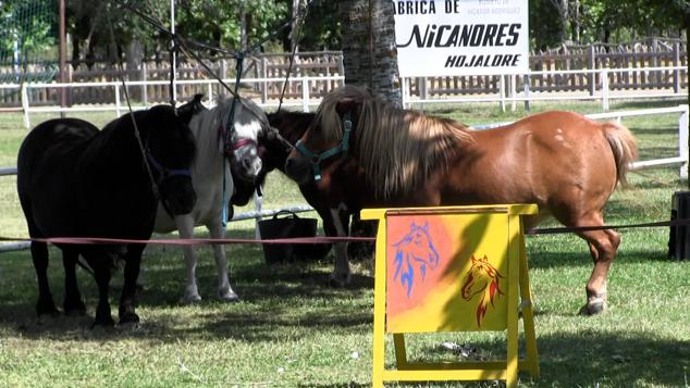 Imagen de una de las actividades de este fin de semana en Boñar 