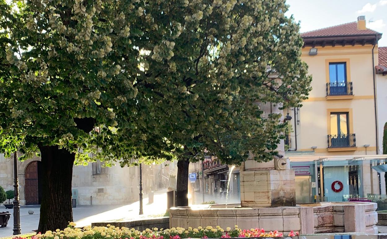 Plaza de San Marcelo, cuyo aspecto variará con el proyecto de remodelación previsto.