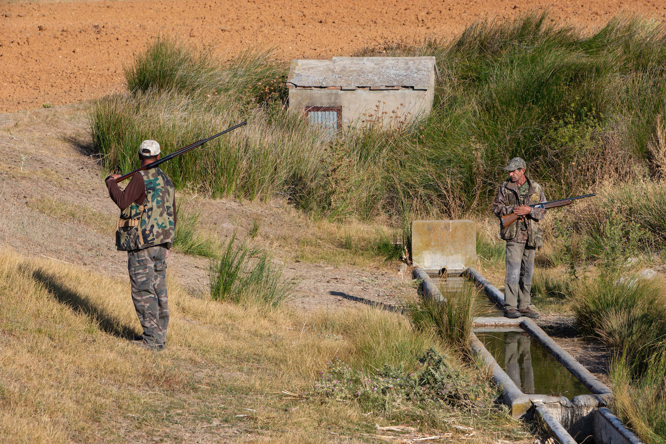 Fotos: Inicio de la temporada de media veda en Castilla y León