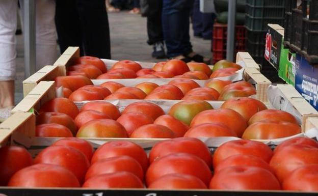 El tomate de Mansilla brillará en la XXXII edición de la Feria del Tomate.