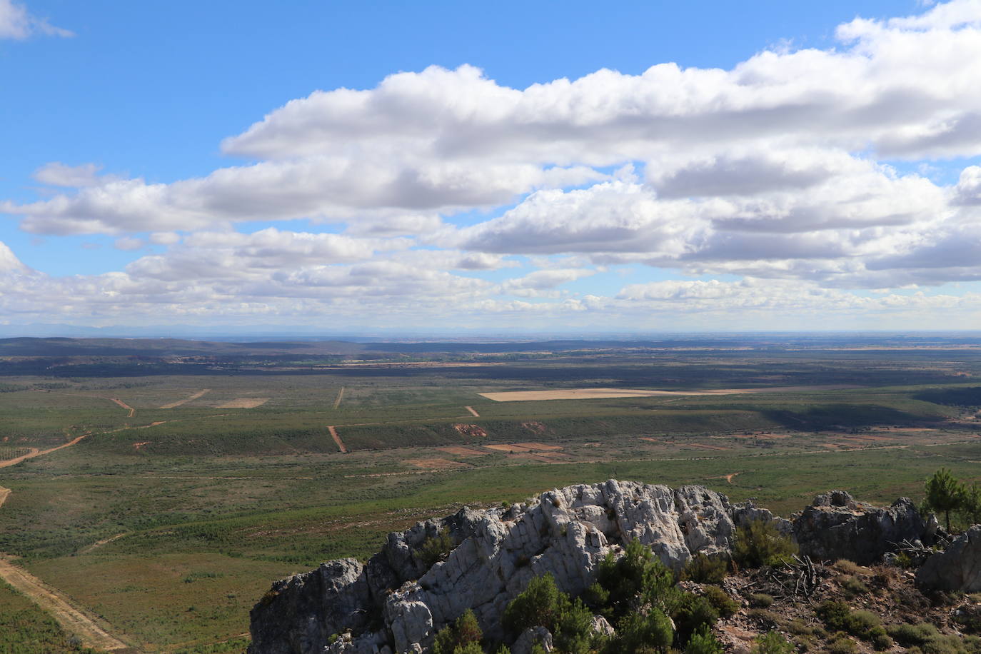 Imagen del monte quemado, diez años después