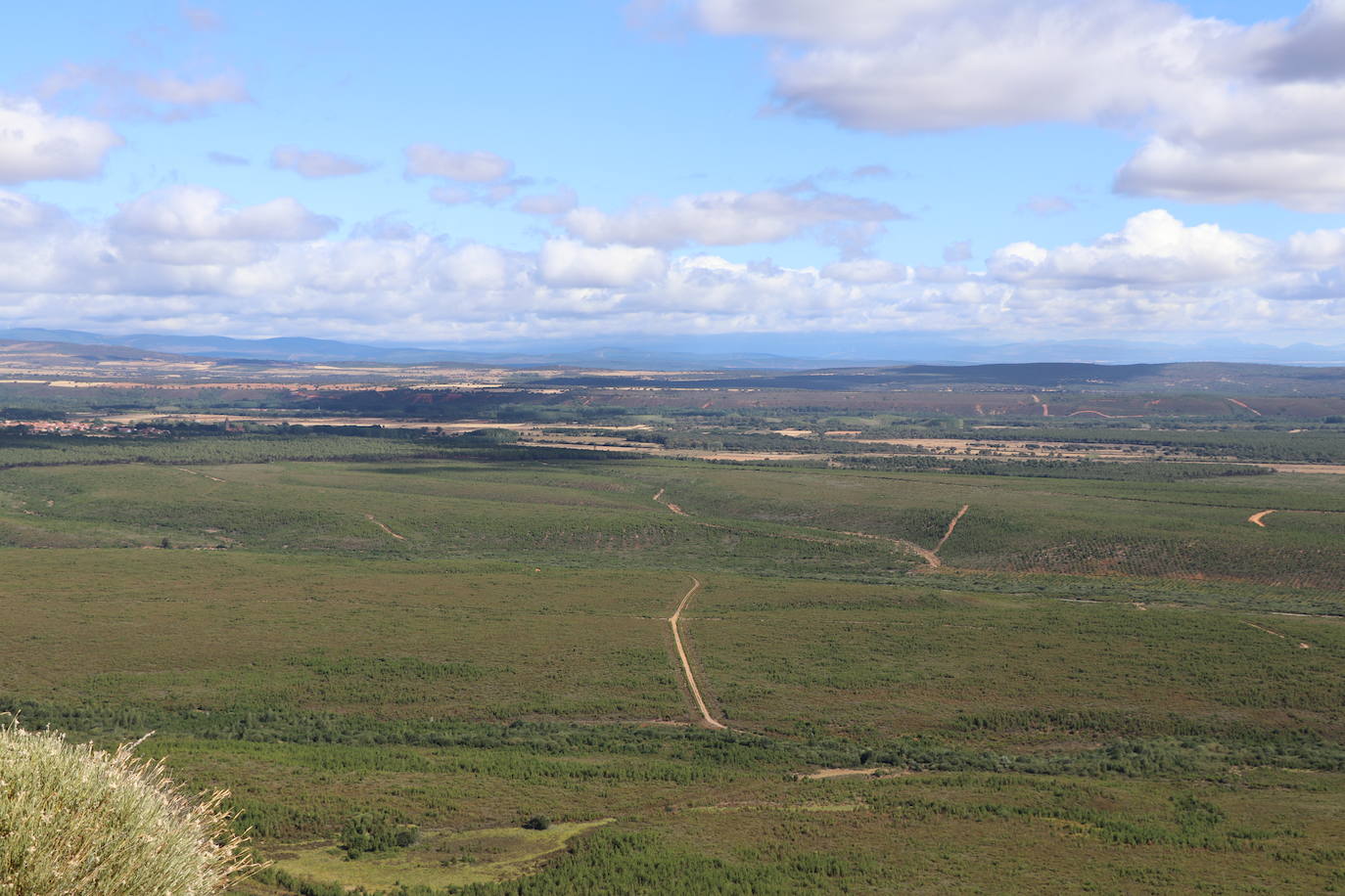 Imagen del monte quemado, diez años después