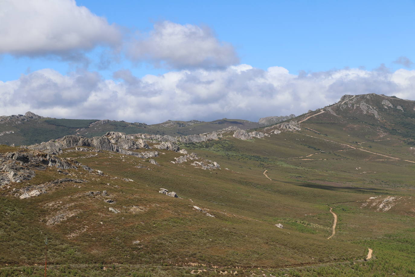 Imagen del monte quemado, diez años después