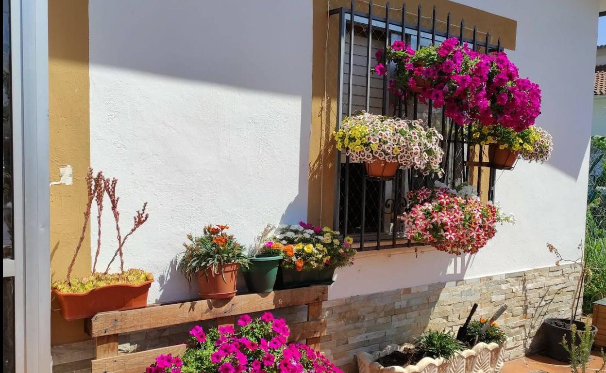 Premio a la mejor ventana decorada en Hospital de Órbigo.