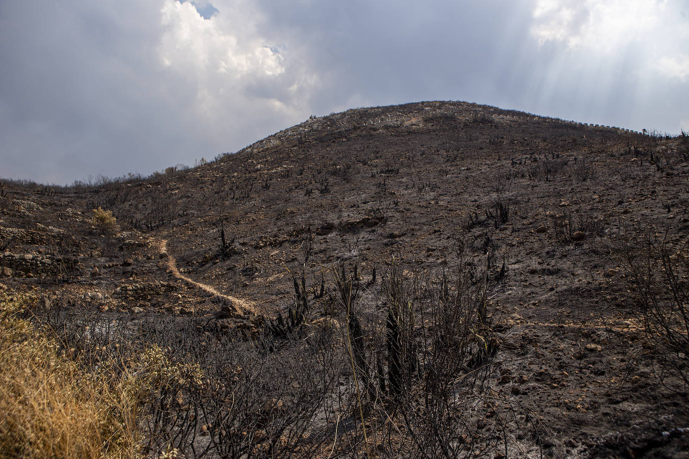 Monte quemado por el incendio forestal en Vall d´Ebo, en la provincia de Alicante.