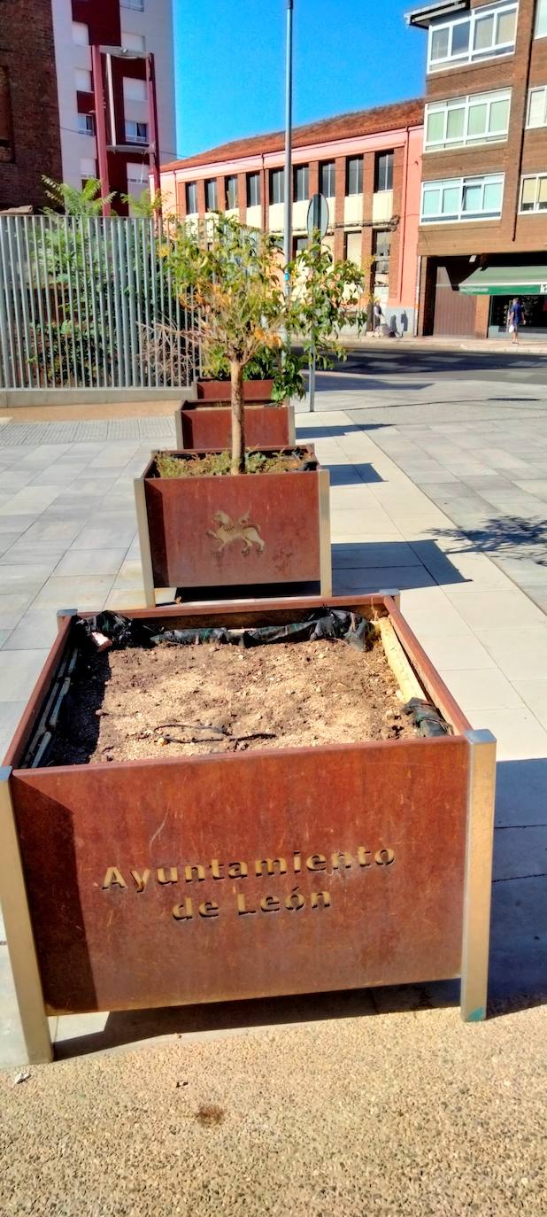 Primeros daños en el Paseo del Ferrocarril después de que el Ayuntamiento asuma su mantenimiento