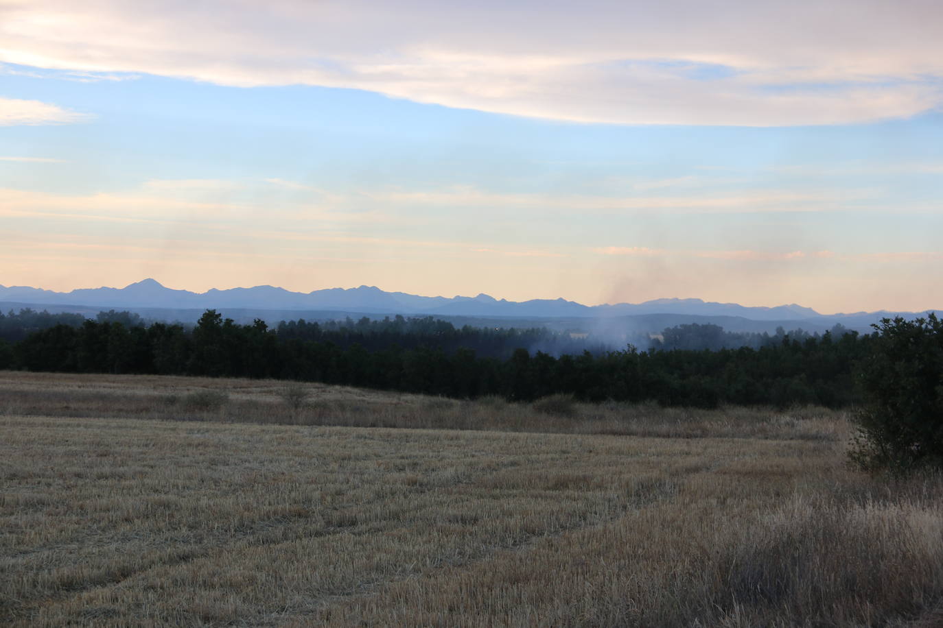 Imágenes de los efectivos antiincendios en el fuego de Valdepolo.