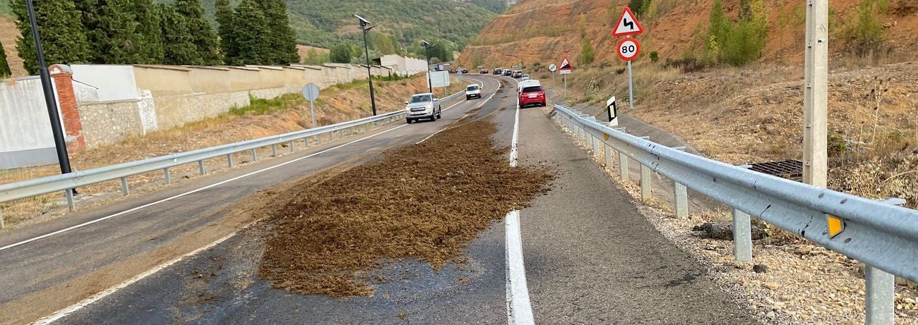 Un camión pierde su carga de estiércol en uno de los accesos a la localidad de Cistierna. La pérdida de la carga limitó el tráfico en ese punto del vial en una jornada marcada por la llegada a la localidad de la Vuelta a España. 