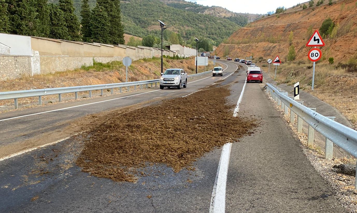 Un camión pierde su carga de estiércol en uno de los accesos a la localidad de Cistierna. La pérdida de la carga limitó el tráfico en ese punto del vial en una jornada marcada por la llegada a la localidad de la Vuelta a España. 