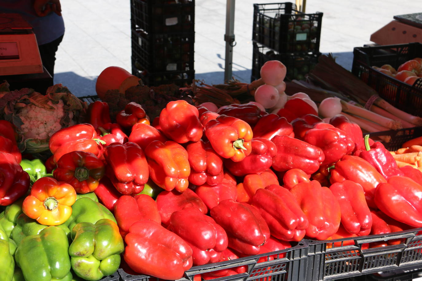 Imágenes de la Feria del Tomate de Mansilla en 2022