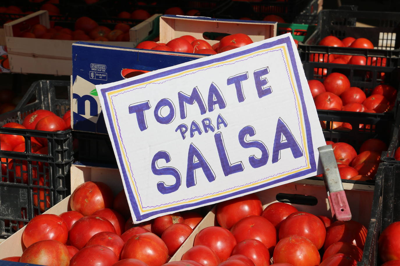 Imágenes de la Feria del Tomate de Mansilla en 2022