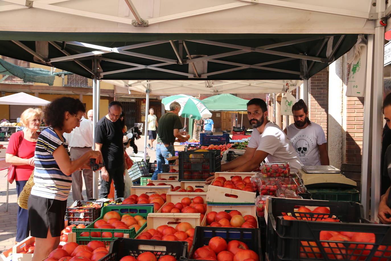 Imágenes de la Feria del Tomate de Mansilla en 2022