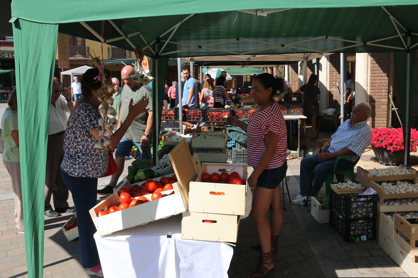 Imágenes de la Feria del Tomate de Mansilla en 2022