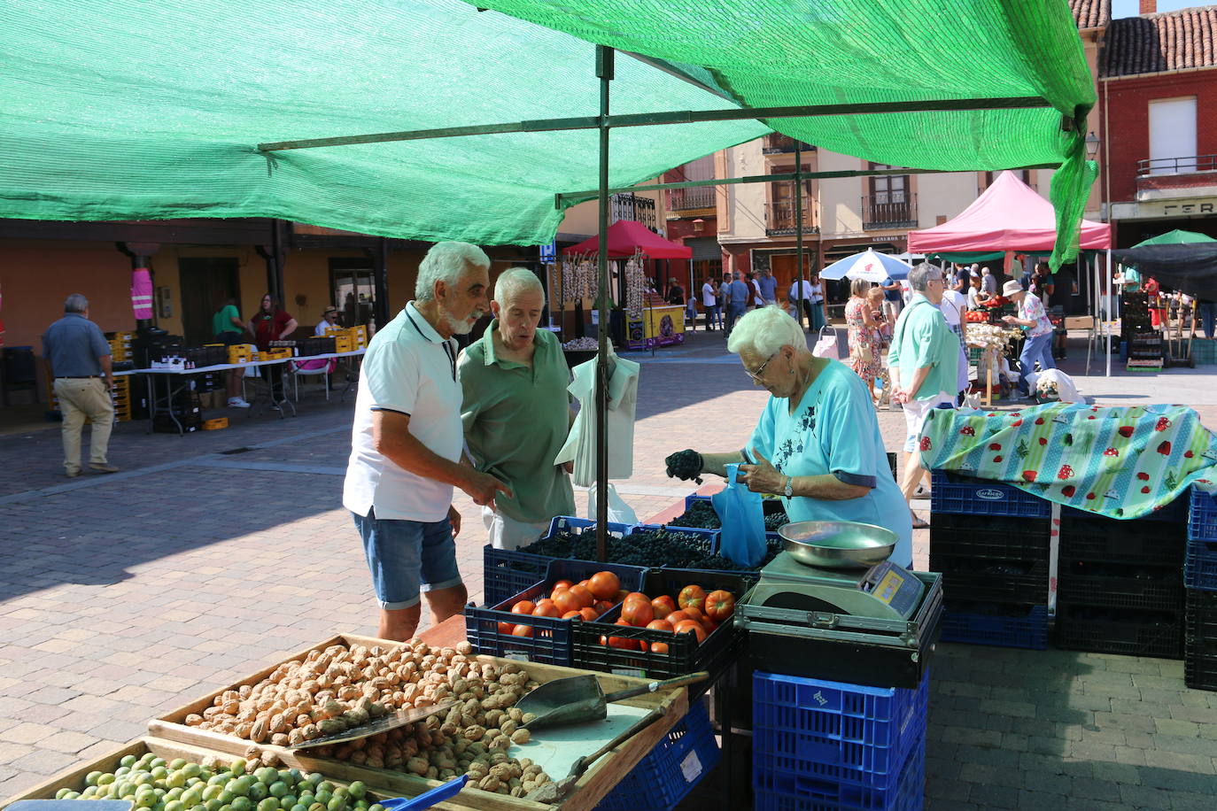 Imágenes de la Feria del Tomate de Mansilla en 2022