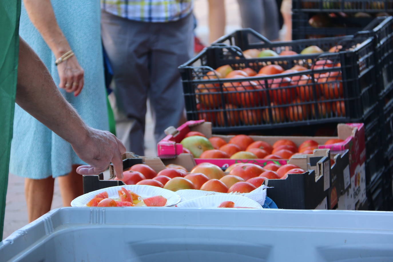 Imágenes de la Feria del Tomate de Mansilla en 2022