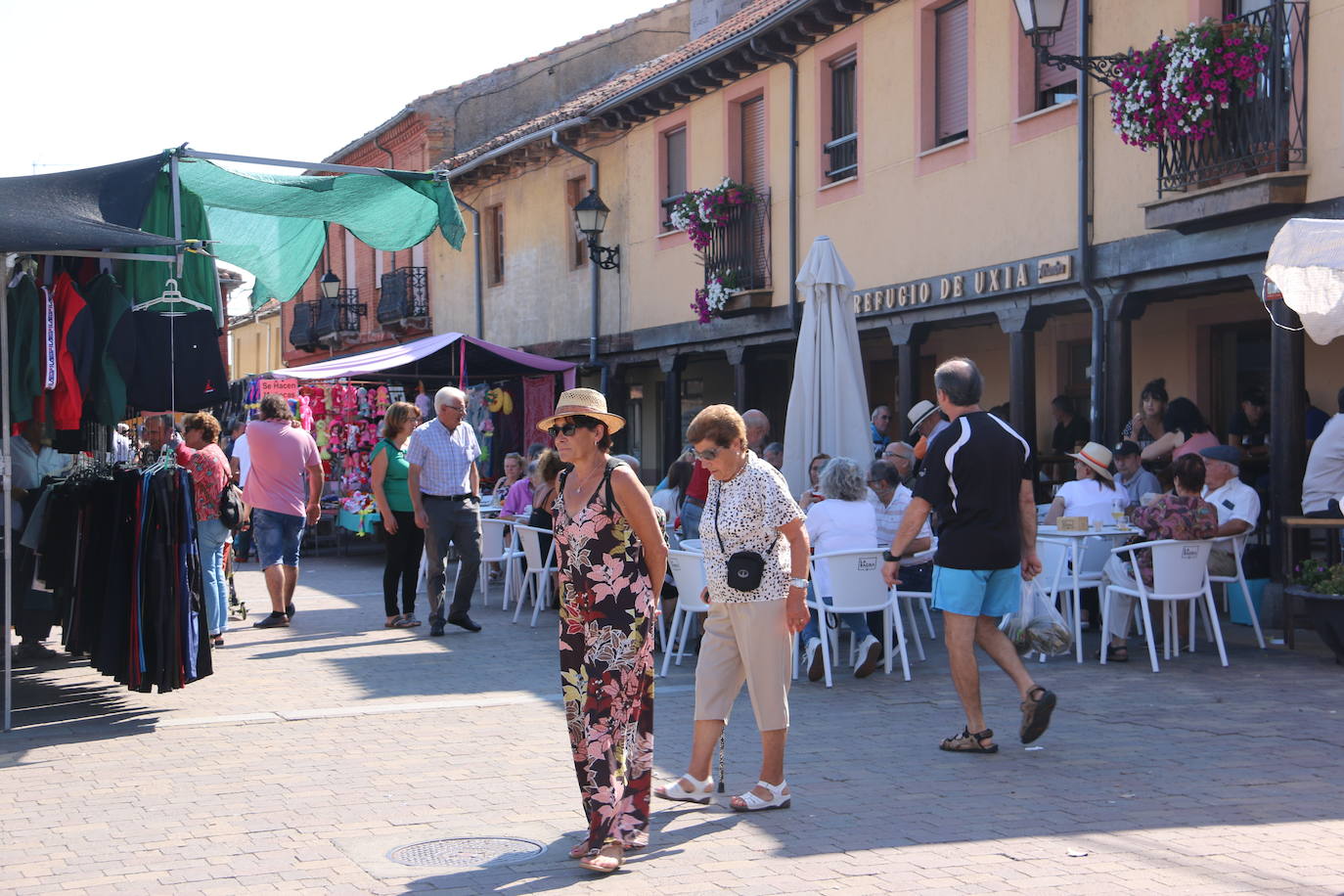 Imágenes de la Feria del Tomate de Mansilla en 2022