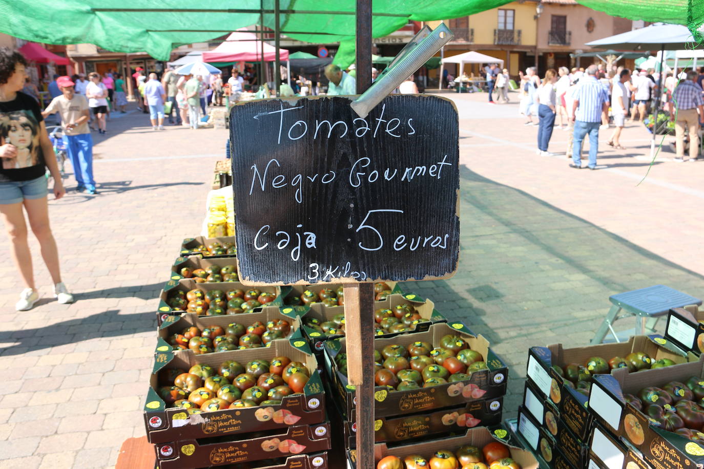 Imágenes de la Feria del Tomate de Mansilla en 2022