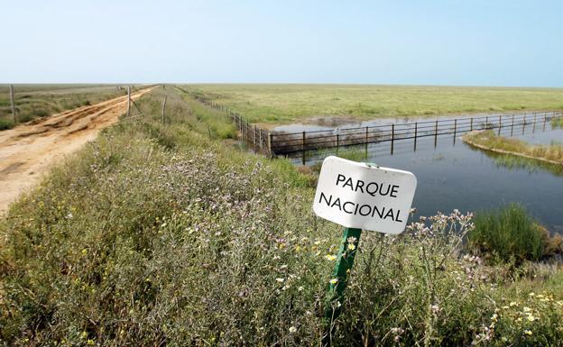 Rescatan a tres niñas perdidas durante la noche en el parque de Doñana