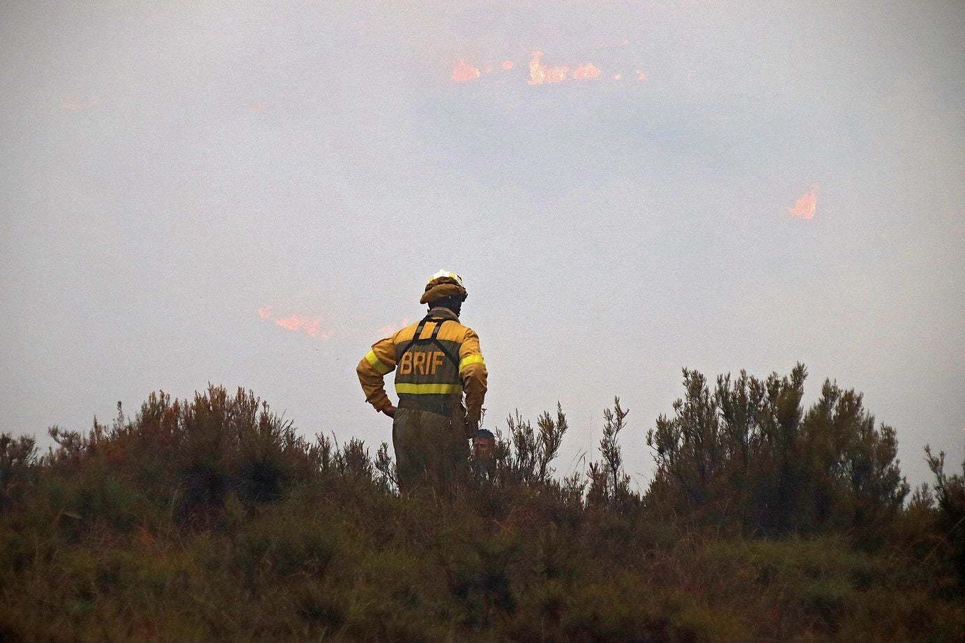 El incendio del Teleno amenaza las localidades de Boisán y Filiel. Los trabajos se centran en contener el avance de las llamas más allá del perímetro del campo de tiro. 