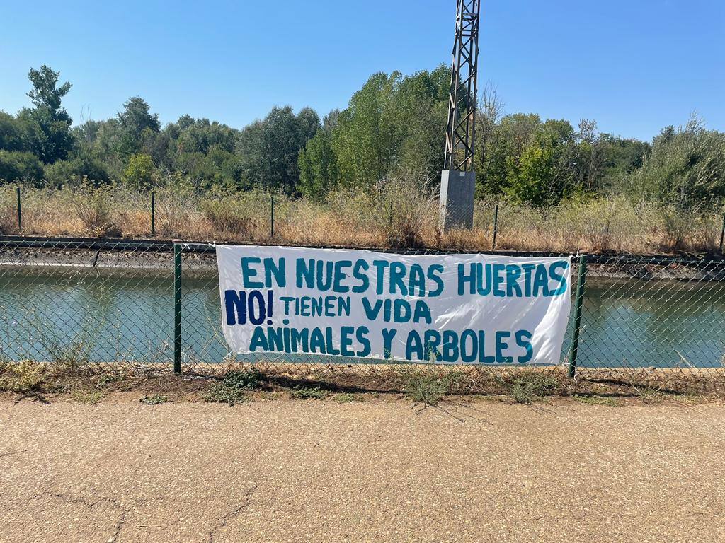 Una fuente del siglo XVII podría salvar la zona verde de La Milla del Páramo.