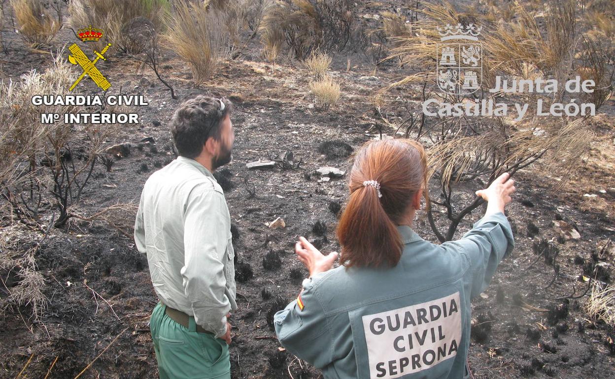 Agenets del Seprona analizan la zona donde se produjo el incendio de Vilalquejida.