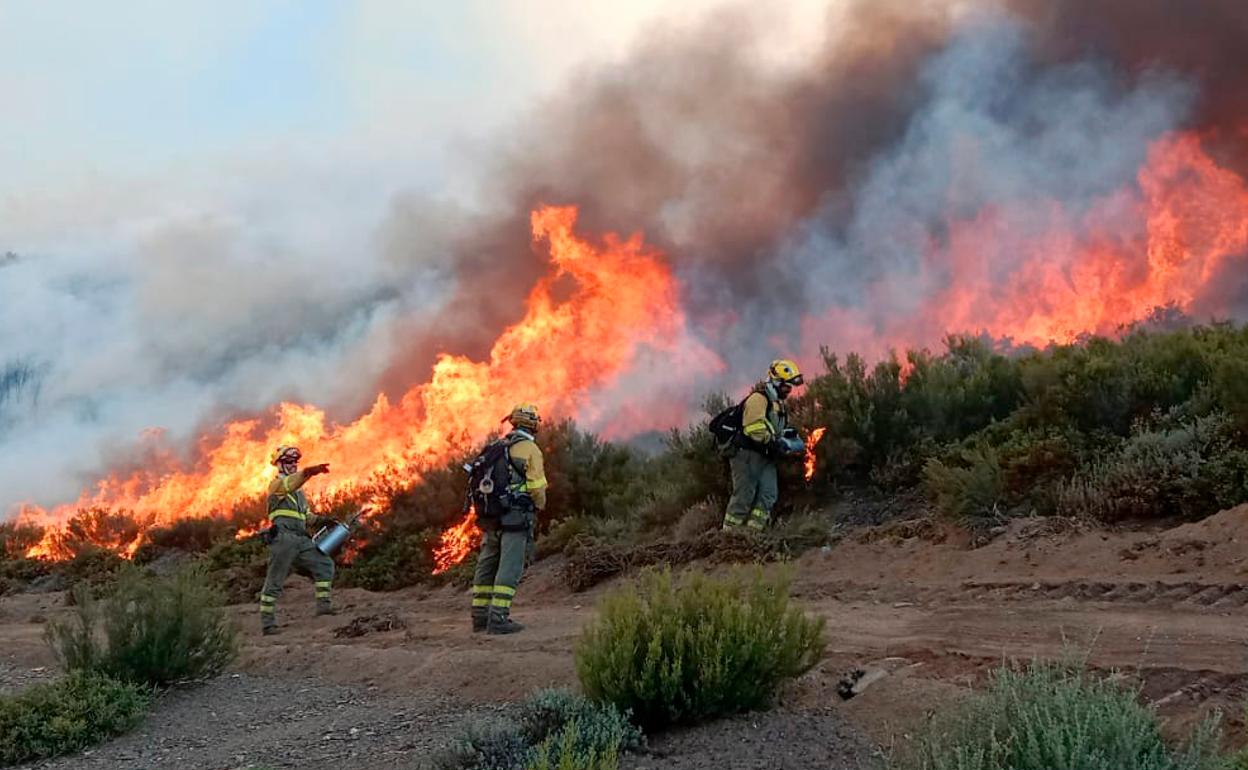 El incendio forestal originado en el campo de tiro del Teleno.