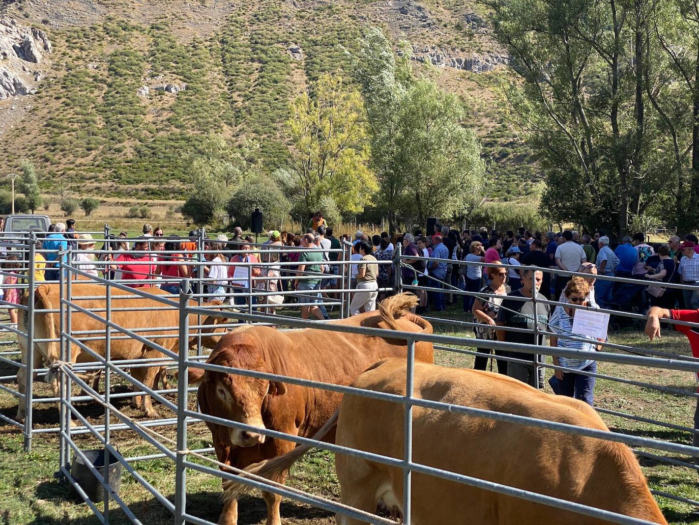 La localidad leonesa celebra las Fiestas del Cristo donde la feria ganadera, la artesanía y los pendones toman el protagonismo