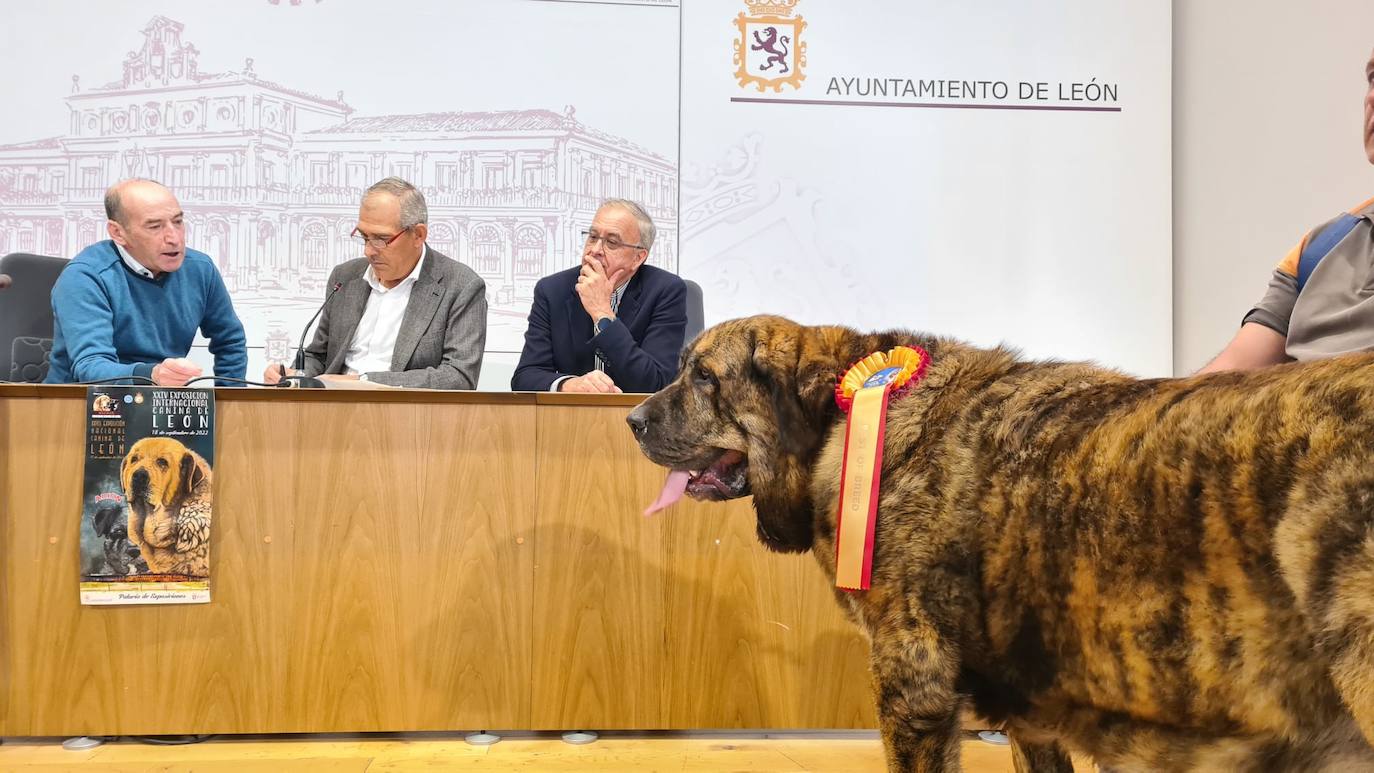 Fotos: Presentación de la Exposición Canina en León