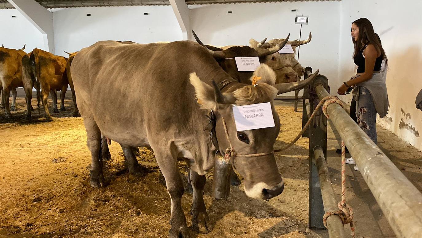 Feria de Ganado de Montaña en Puebla de Lillo