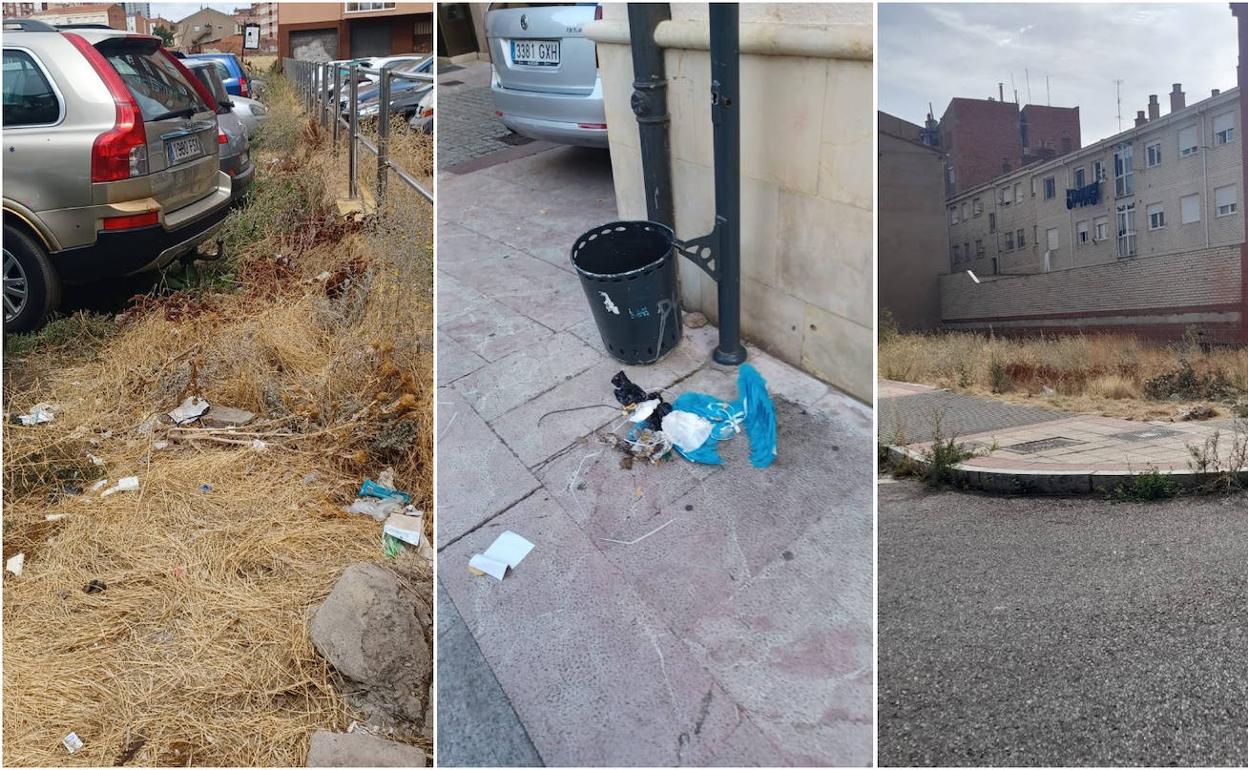 Varias de las situaciones de suciedad en la ciudad de León que denuncia Ciudadanos.