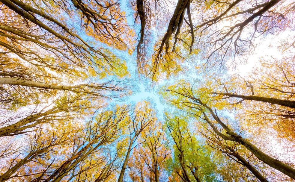 El otoño llega a la provincia de León con previsiones de temperaturas más cálidas y menos lluvias de las habituales. 