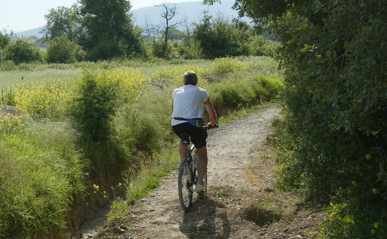 Por qué pasear por el campo amansa nuestro cerebro