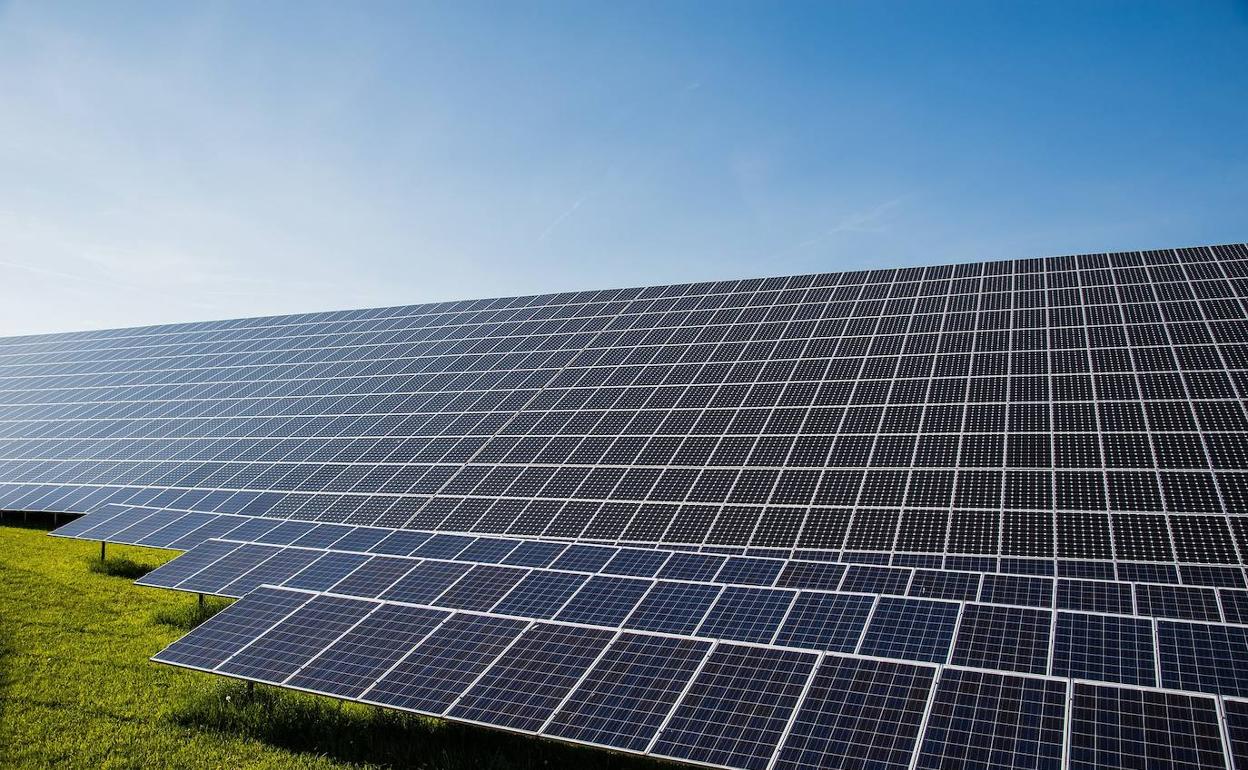 Amazon suma 16 proyectos de energía renovable en España, consistentes en 13 granjas solares y tres parques eólicos