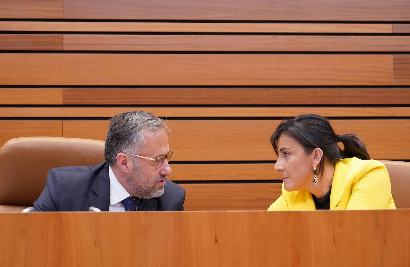 Pleno de las Cortes de Castilla y León