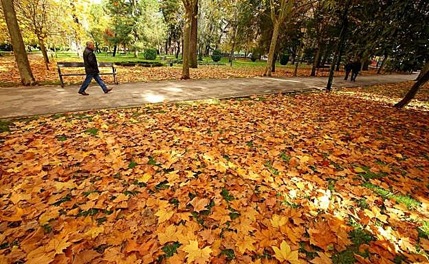 El primer fin de semana del otoño bajará las temperaturas en la provincia.