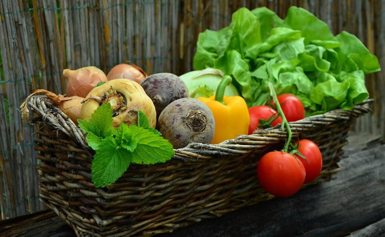 Cesta de verduras cultivadas en ecológico. 