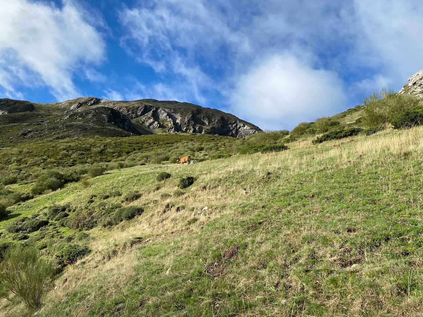Alrededor de 200 corredores participan en el V Trail de Mampodre.