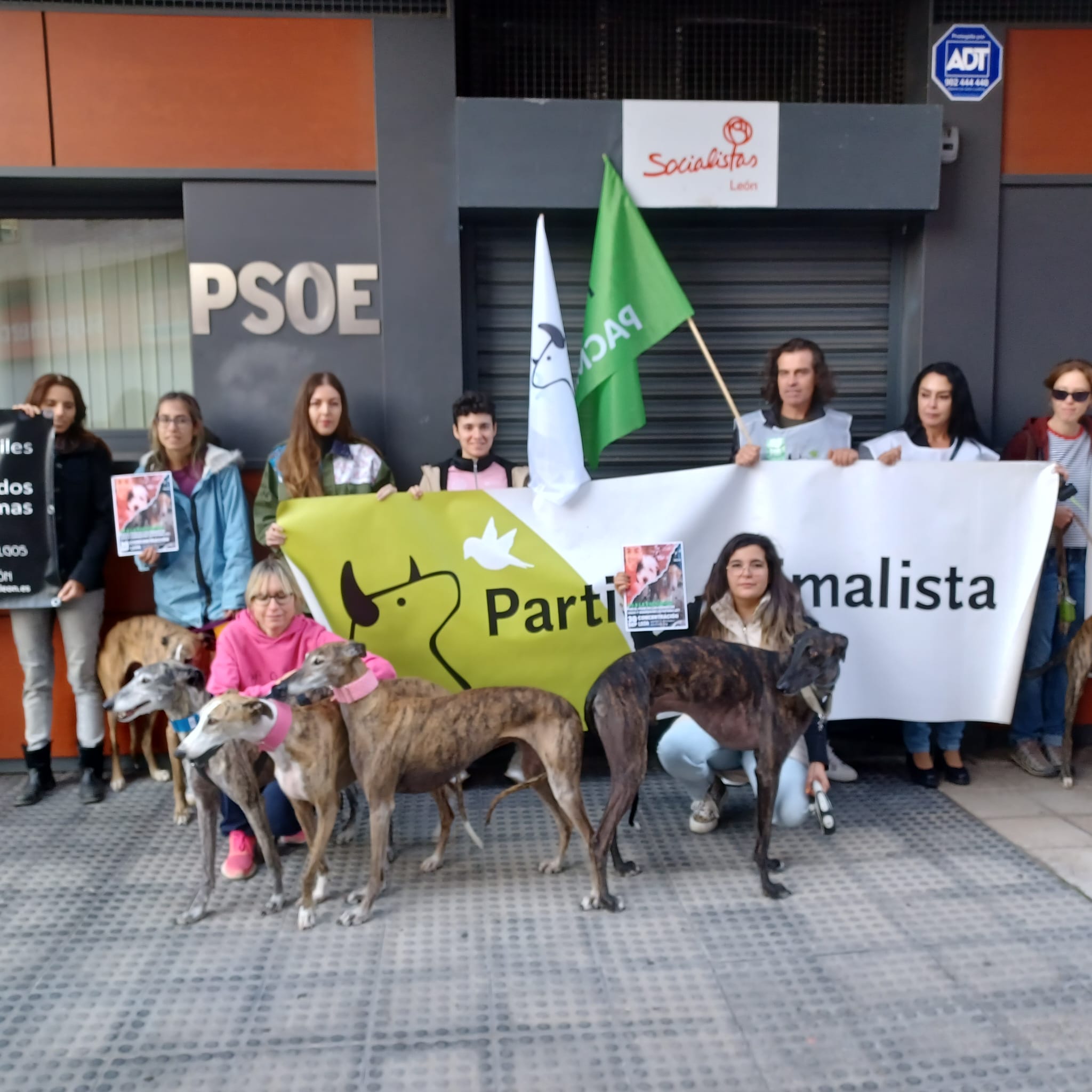 Pacma convoca una movilización en una docena de ciudades de España para exigir que la Ley de Bienestar Animal no excluya a los animales de caza de protección