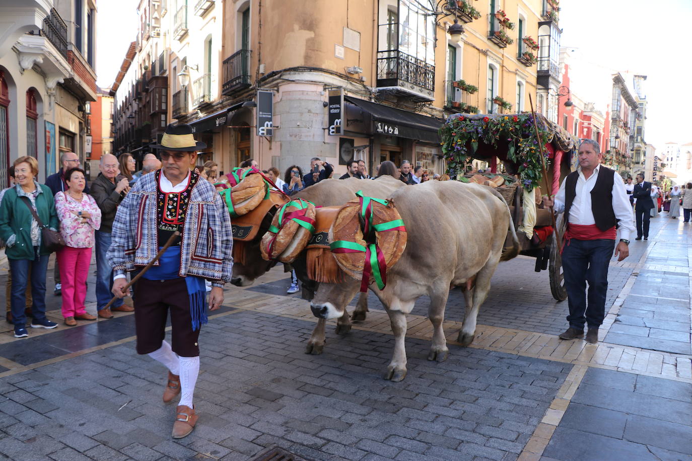 Acto de las Cantaderas durante las fiestas de San Froilán.