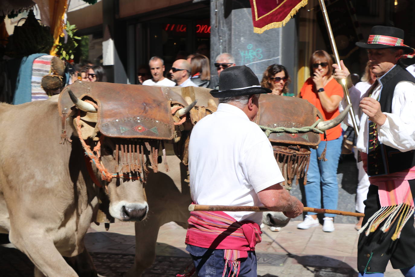 Los carros engalanados toman las calles de León.