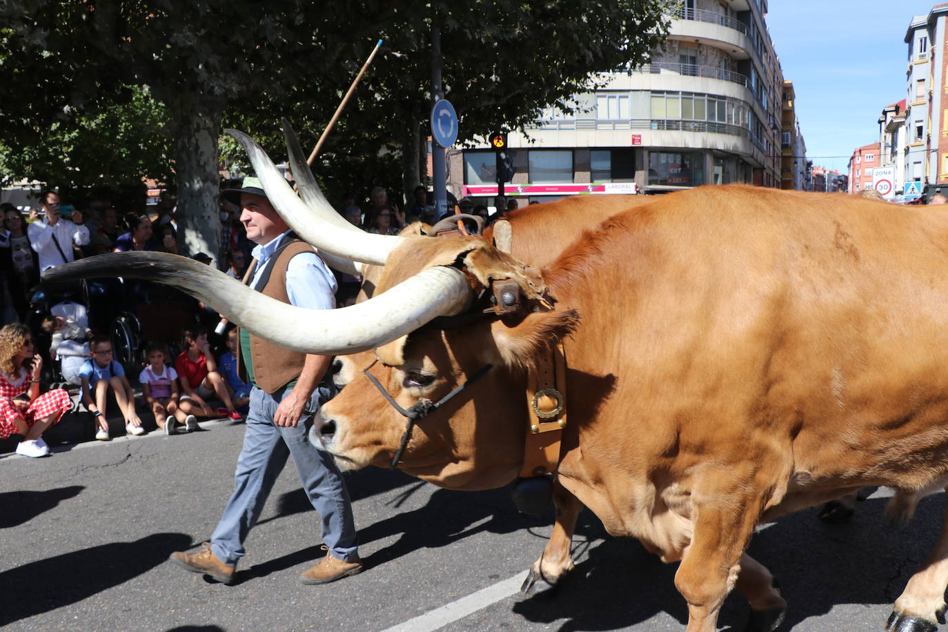 Los carros engalanados toman las calles de León.